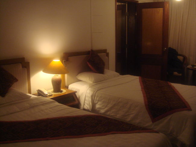 お部屋はこうです。ママとパパと娘。おじいと金太の組み合わせ。でも、部屋は以前泊まった右ウイングがよかった。もっと、クラシックだったな。おいおい、そんなことより、バスタブにいっぱいのお湯は出ないのですよ。