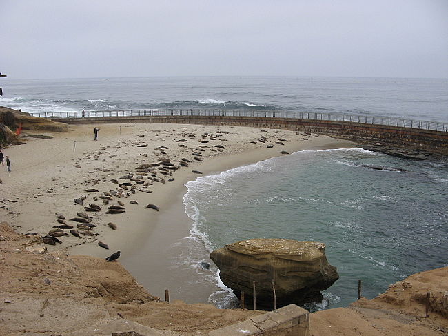 砂浜に岩がごろごろ。。。？？？
