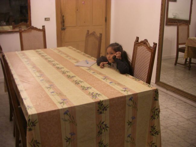 2階のウチと7階の友人宅とを結ぶ連絡係のムスメ。<br />働き者。