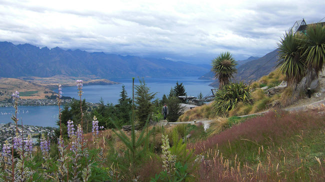 スカイラインで山から街並みを眺める。<br />また、ルビナスの花も残っていた。