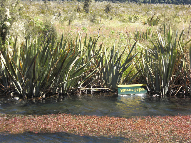 ミラーレイク---よって山などがリフレクしてるといいんですが、風がつよく波があってだめでした。<br />それに本当にここの湖、リフレクするのでしょうか？<br />字をわざとらしく反対にしてあるけど。