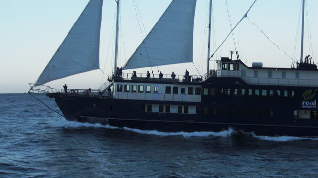 早朝のミルフォードサウンド<br />もう一艘のクルーズ船<br />湾の先端の付近で