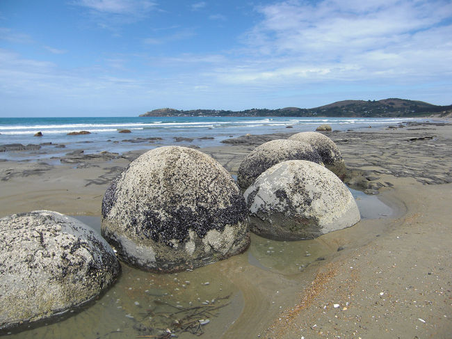 ダニーデンとオマルの間の海岸<br />モエラギ・ボルダー