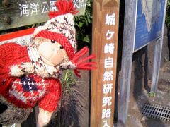 自然研究路を歩きます。
