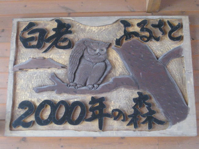 ぷらっと白老 サクラマス 白老 大滝 北海道 の旅行記 ブログ By Sya さん フォートラベル