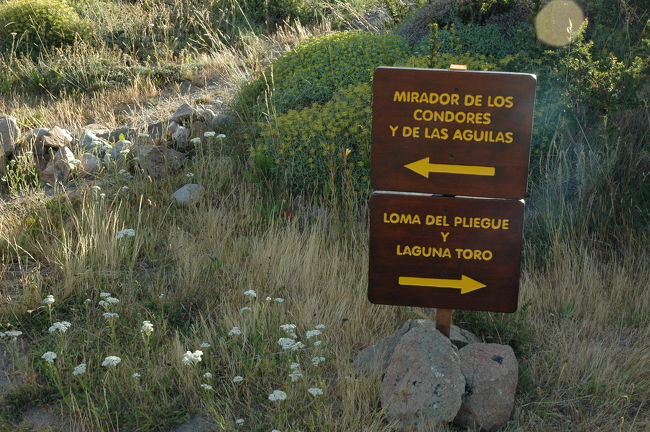 どうやら左側のようです。