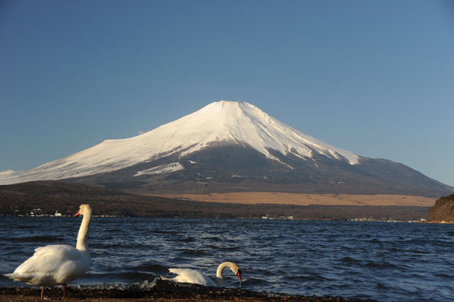あっち向いてホイ。(笑)