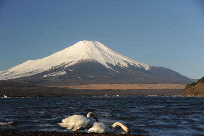思案タイム?!(笑)