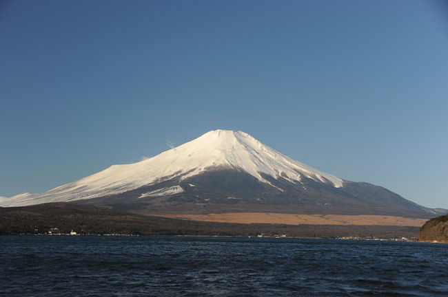 白鳥はあきらめて…。
