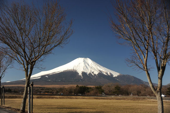「花の都公園」にて。<br />花が入ると綺麗なんですがこの季節はありません。