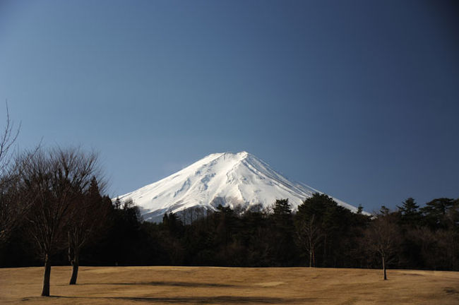 これからの２枚は、おまけです。<br />富士吉田市のパインズパークからです。