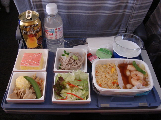 続いてはお待ちかね、機内食。僕は海鮮あんかけチャーハンを選びました。妻はビーフシチューでした。