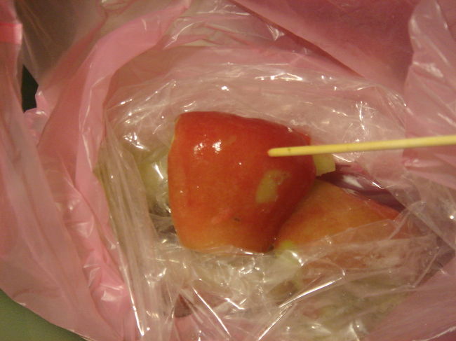 これは台北地下道で買ったワックスアップル。<br />以上、２日目は終了です。