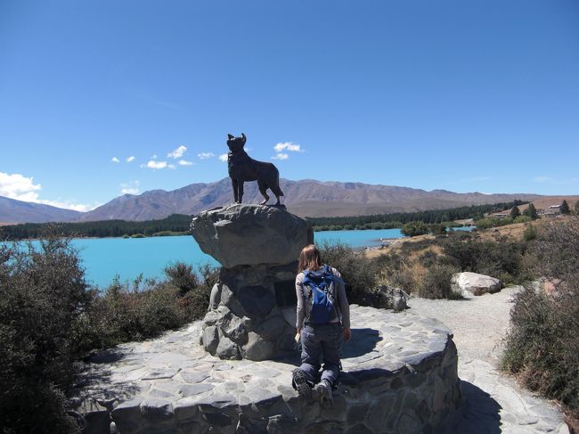 テカポ湖とよき羊飼いの犬