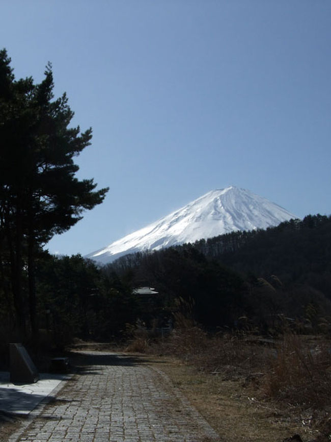 寄ヶ崎から見た富士山です。