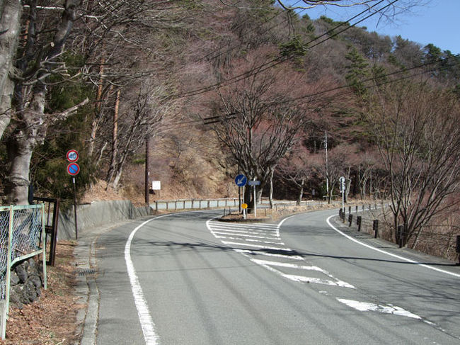 ここは、桜で有名な通称「桜トンネル」です。