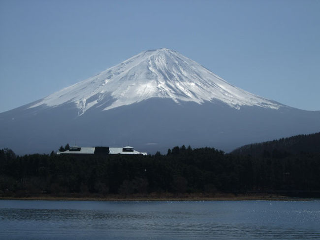 「桜トンネル」近くから。
