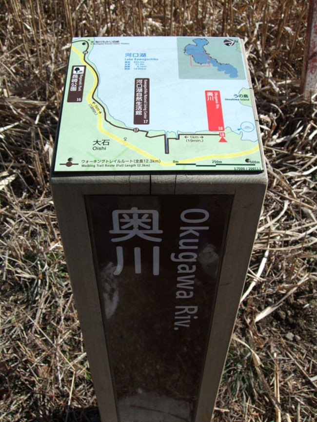 「奥川」です。