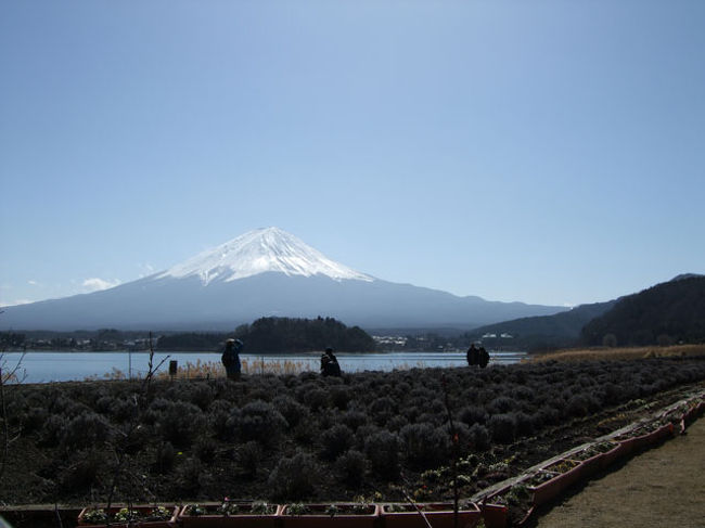 ラベンダー畑の前から。