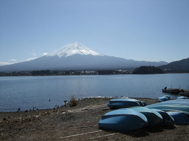 公園の西側付近から。