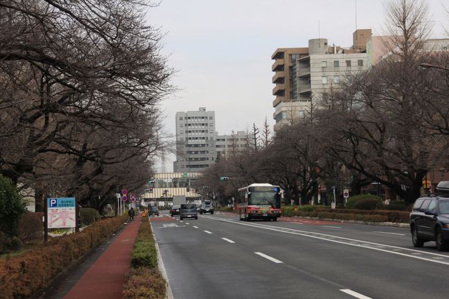 大学キャンパスめぐり Vol 15 国立の学び舎 一橋大学で伊東忠太の世界を見た 国立 府中 稲城 東京 の旅行記 ブログ By ぬいぬいさん フォートラベル 大学キャンパスめぐり Vol 15 国立の学び舎 一橋大学で伊東忠太の世界を見た 国立 府中 稲城 東京 の旅行記 ブログ By ぬいぬいさん フォートラベル