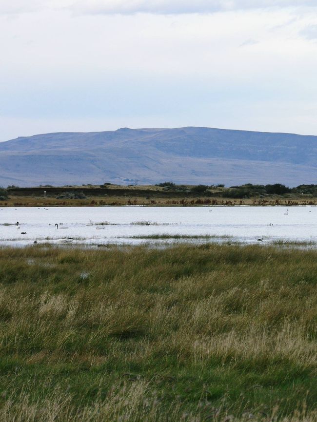 白鳥などいろんな水鳥が飛来して来るニメス湖の光景。<br /><br /><br />