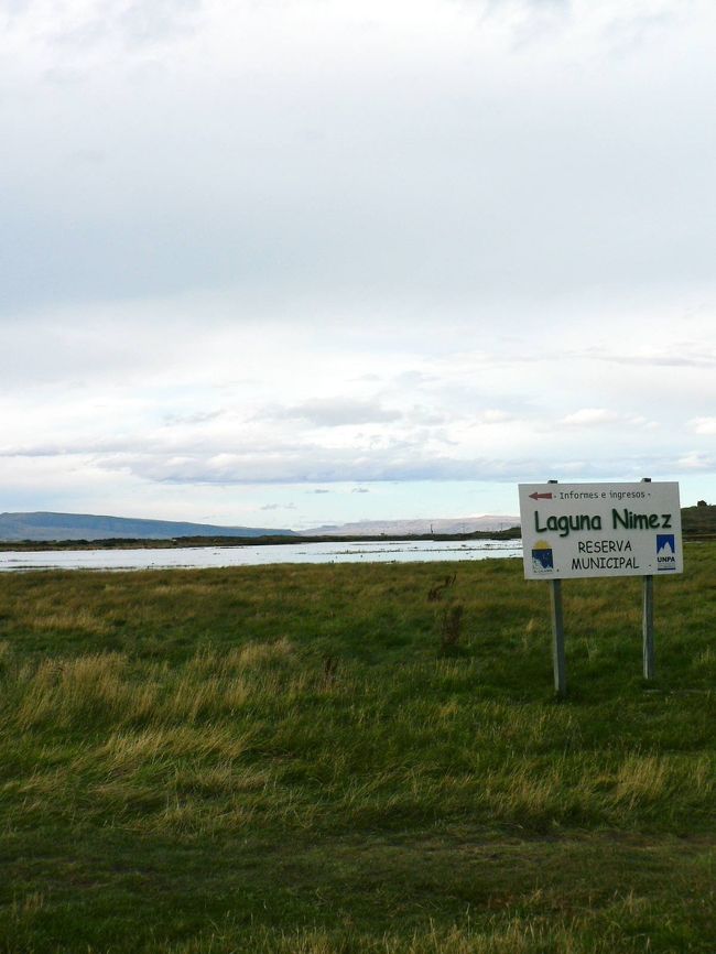 白鳥などいろんな水鳥が飛来して来るニメス湖の光景。<br /><br /><br />