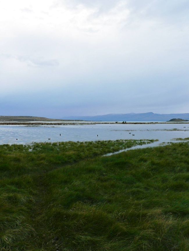 白鳥などいろんな水鳥が飛来して来るニメス湖の光景。<br /><br /><br />