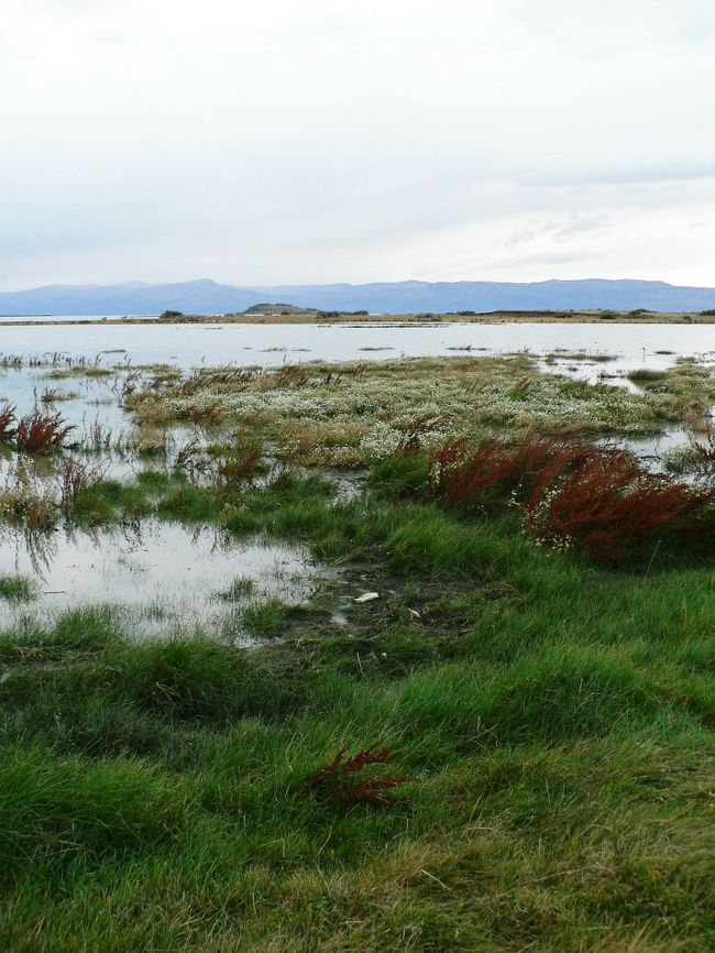 ニメス湖の光景。