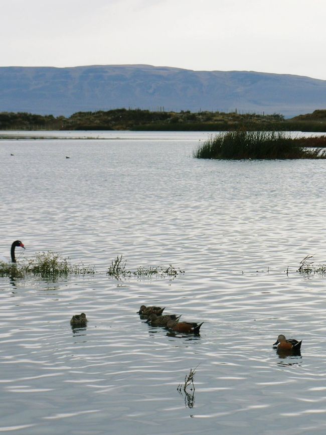 ニメス湖の光景。