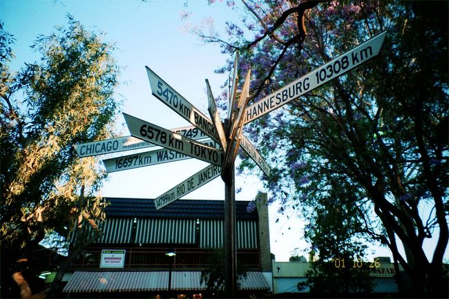 ダーウィンには1泊だけして、エアーズロックをみるための拠点になる町アリススプリングスに飛ぶ。<br /><br />アリススプリングスの空港はなんだかとても広い。<br />オーストラリアでかーい。<br /><br />ふと気づくと、日本では貴重なモモイロインコが<br />カラス並みにわらわらおった。