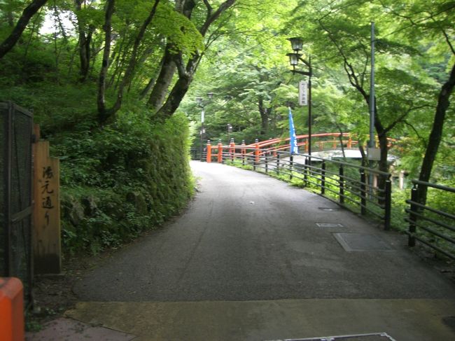 湯元通り！<br /><br />なんか明るい印象☆<br /><br />ここ歩いてくと、いきたい温泉にたどり着ける☆