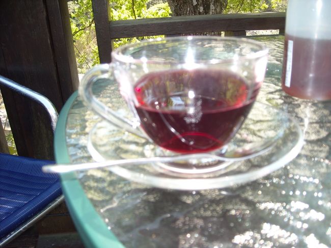 休憩地にて飲んだ花茶？。<br />かんなりすっぱくてまずかった。。