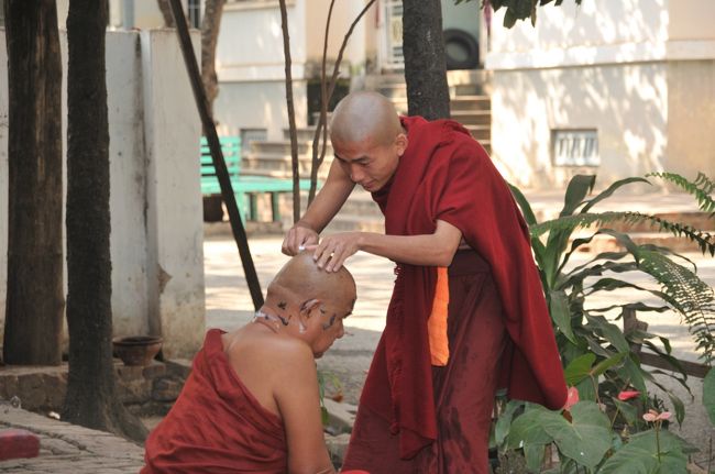 お坊さんの日常生活が興味深いです。