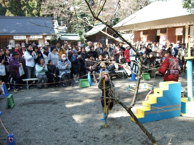 お猿さんが竹馬に乗って芸をしています。