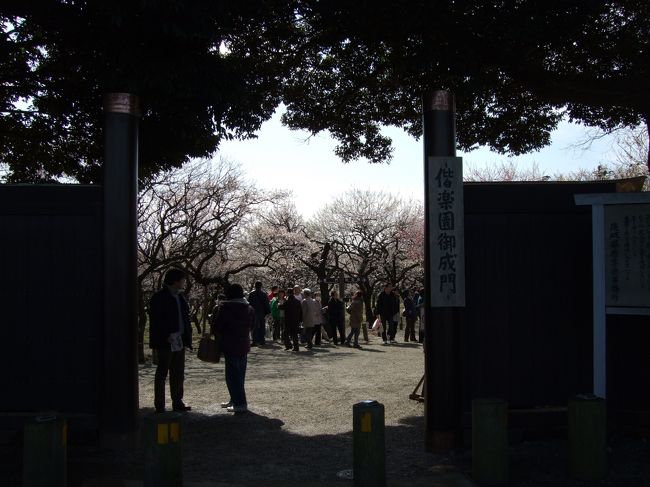 すると「御成門」があります。<br />ここで入らず、さらに偕楽園に沿って歩きます。<br />少し狭い道になります。