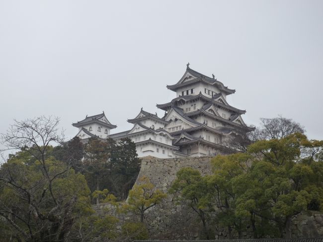 雨の姫路城 姫路 兵庫県 の旅行記 ブログ By さくら子さん フォートラベル