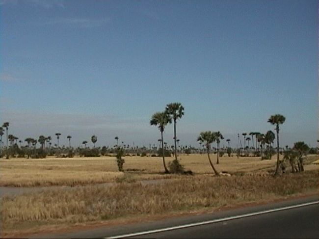 日本ではない風景です
