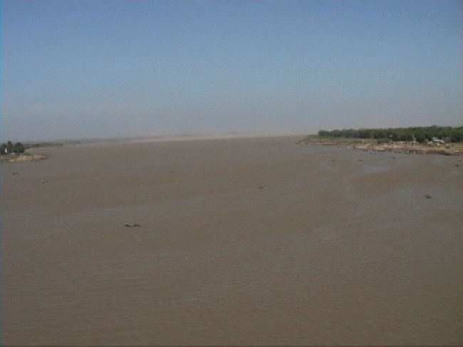 メコン川は巨大です。<br />ベトナムでは海にしか見えませんでしたが、ここは両岸が見えるので大河であると感じます。