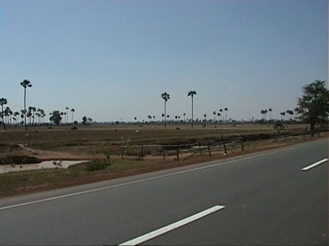 再び不思議な風景を見ながらプノンペンへ・・・。<br />