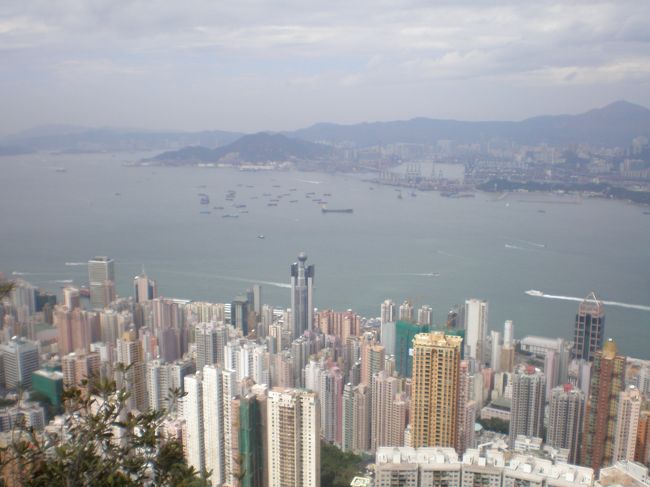 しばらく行くと、上環のビル越しに、九龍側のコンテナ・ターミナルが見えてきます。家族連れや、犬の散歩に出会います。