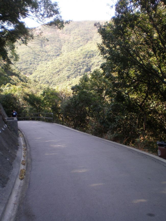 今日はハイキングが目的ではないので、軟弱な下り坂です。空はどんどん青空になってきました。鳥たちの声もにぎやかです。