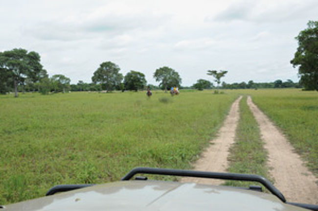 ランクルに乗って、草原を散策
