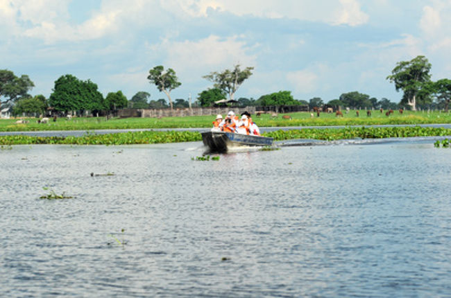 ロッジの近くには、大きな湖があり沢山の鳥類がいます。ボートを使って湖を一周しました。<br /><br />このようにパンタナールでは、<br />　　ランクル、<br />　　馬、<br />　　ボート<br />を使って草原、湿原、湖を探索します。