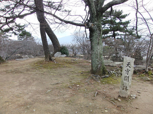 天守閣跡も、特に何も無し。