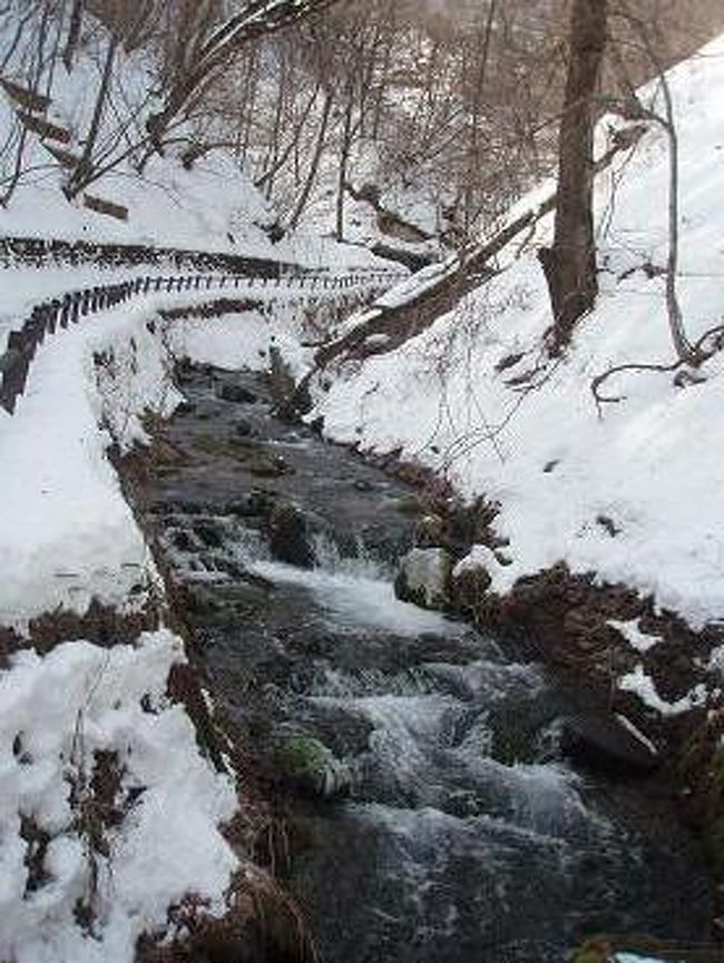 駐車場から、白糸の滝まで少し歩きます。<br />
