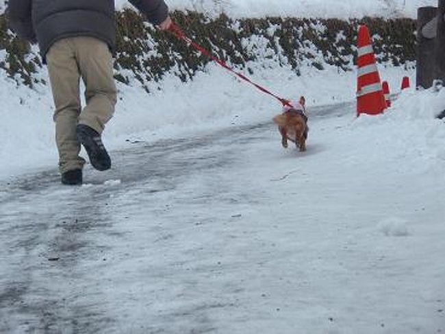 急に元気に走り出しました！！<br />元気ハツラツ〜♪