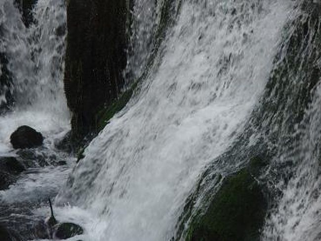 見ていて寒そう(笑)