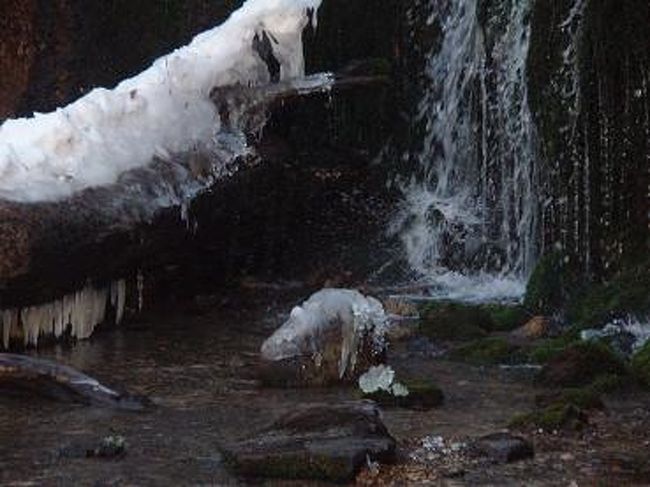 滝の下の部分、水しぶきが飛んだところかな？<br />少し凍っていました。