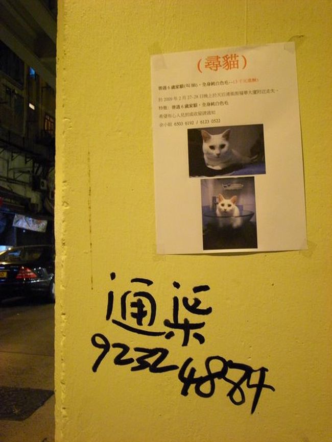 ｢甜姨姨｣からホテルに戻るとき、<br />道路上の柱に貼ってある、<br />｢猫探してます｣の張り紙が面白かったので、<br />写してみた。<br /><br />猫がボウルに入っている写真に笑った。<br /><br />早く見つかりますように。<br /><br />こんな風に、4日目が終了。